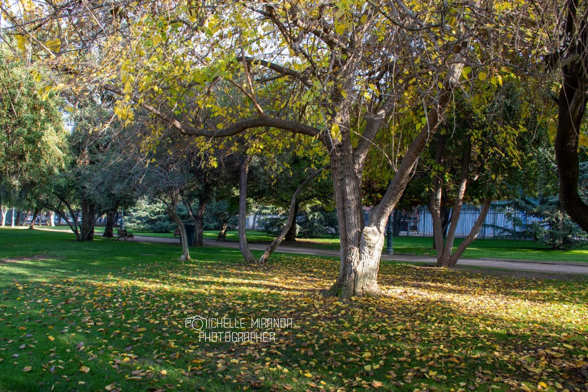Apartamento In Out Condes Santiago